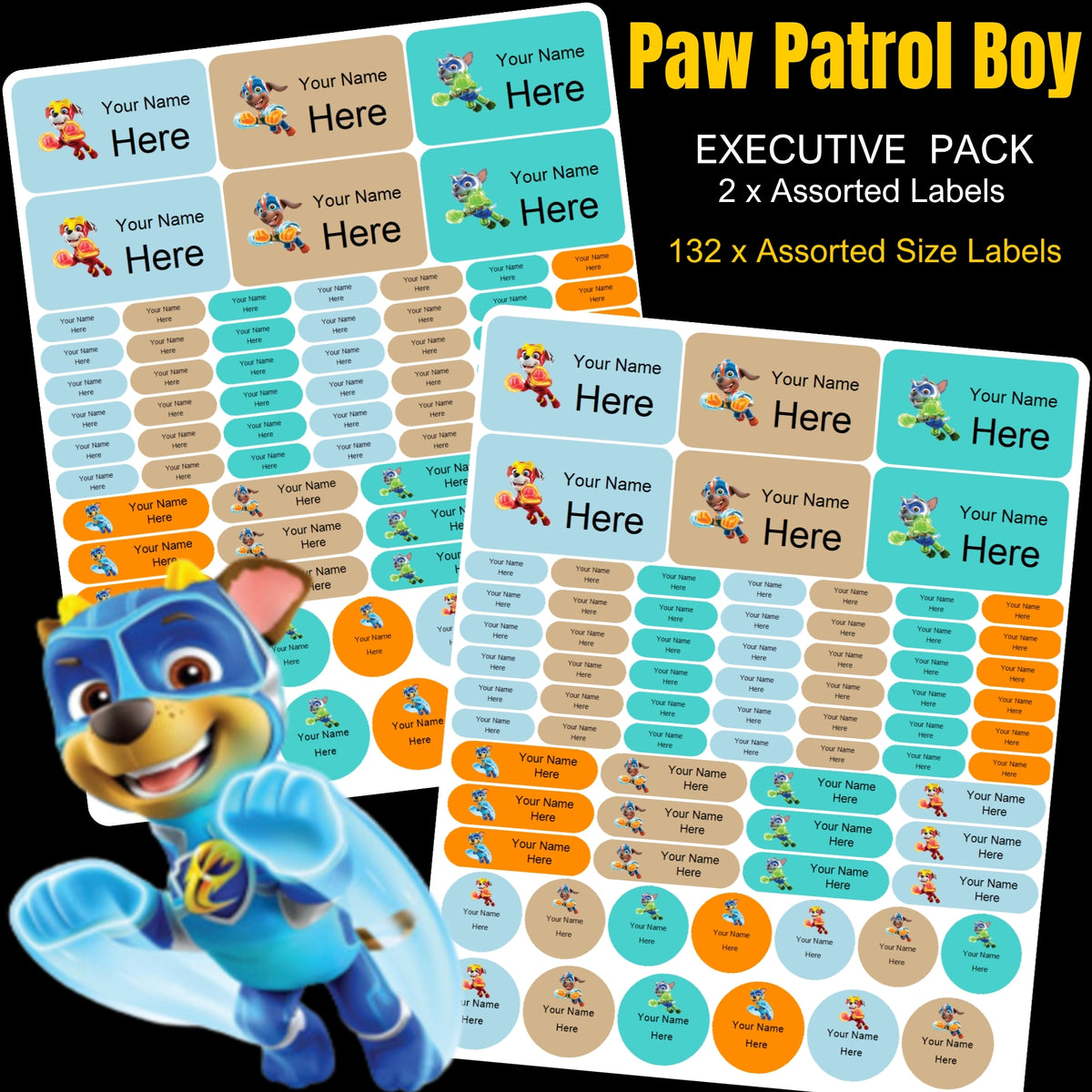 Paw Patrol Boy Stationery Labels