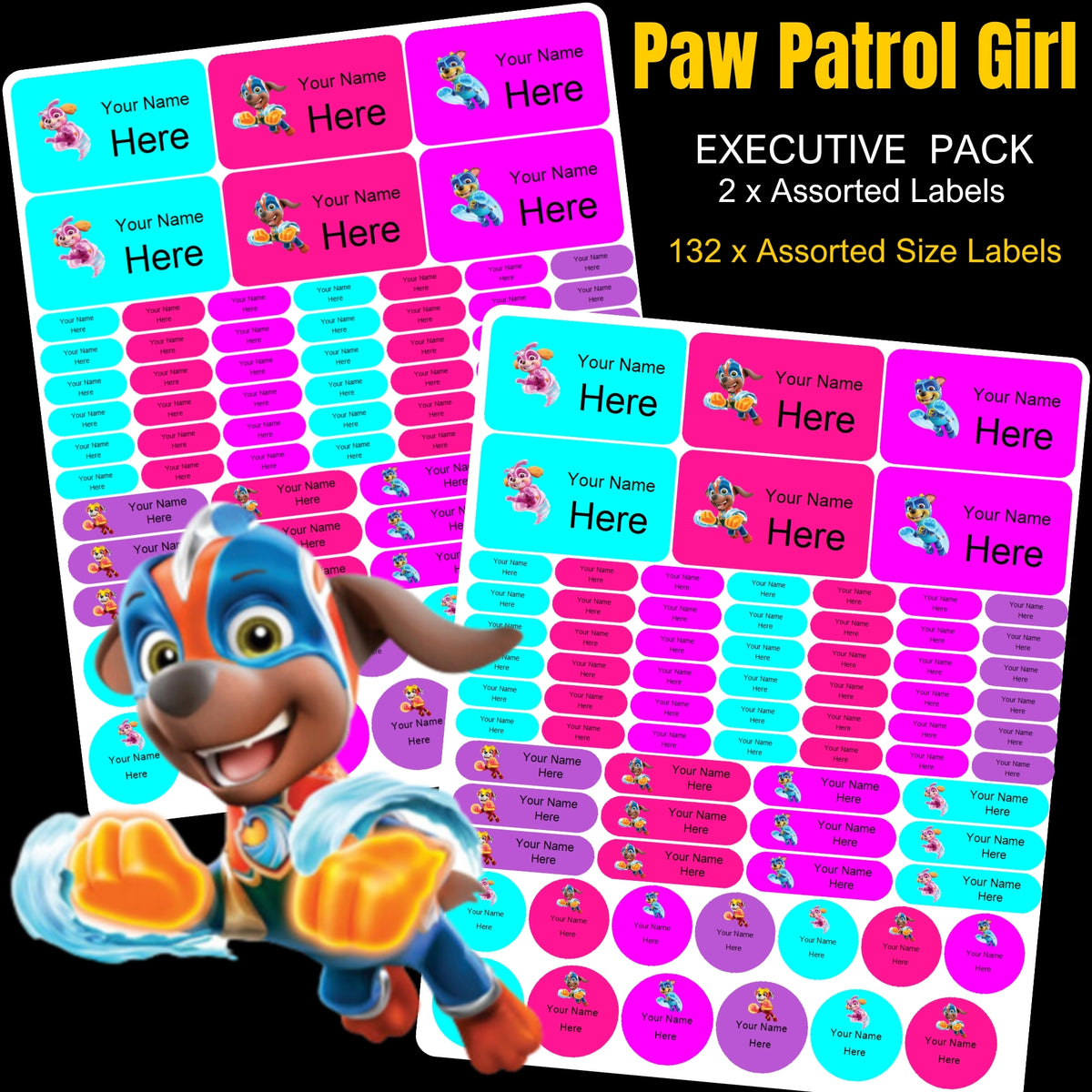Paw Patrol Girl Stationery Labels