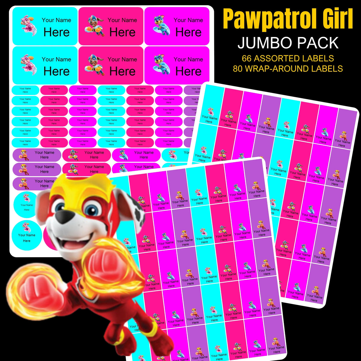 Paw Patrol Girl Stationery Labels