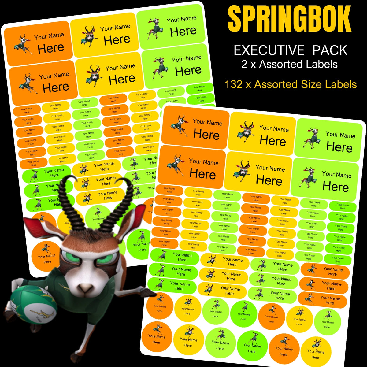 Springbok Boy Stationery Labels