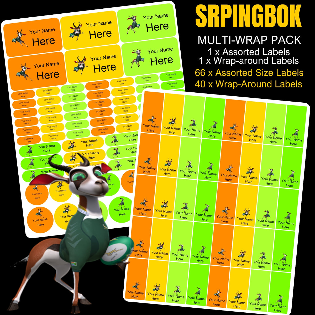 Springbok Boy Stationery Labels