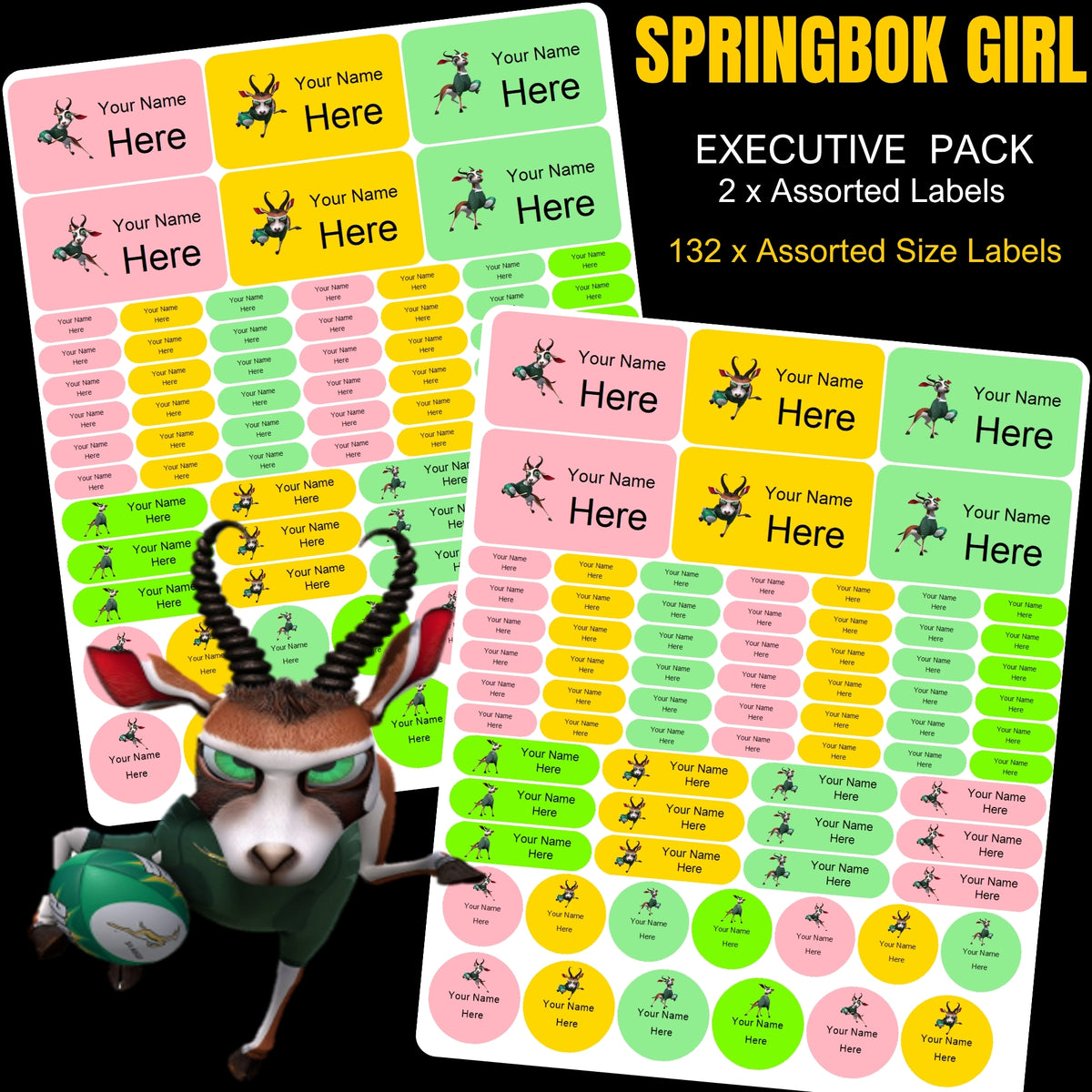 Springbok Girl Stationery Labels